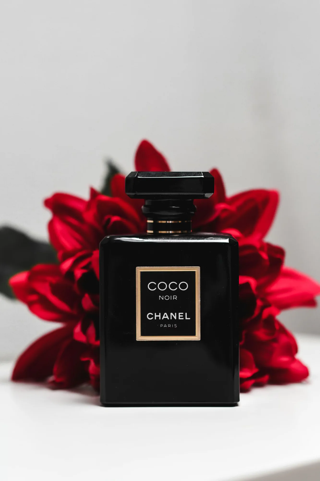 Midnight Rose
